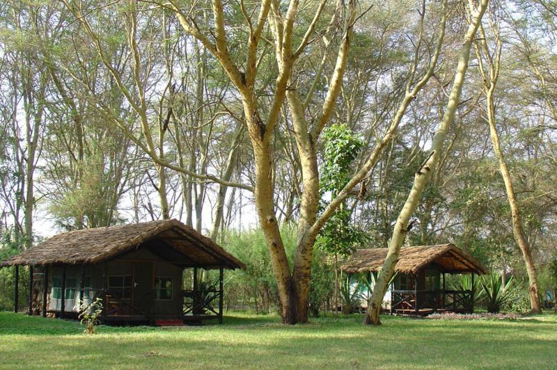Migunga Tented Camp Mto wa Mbu Exterior foto