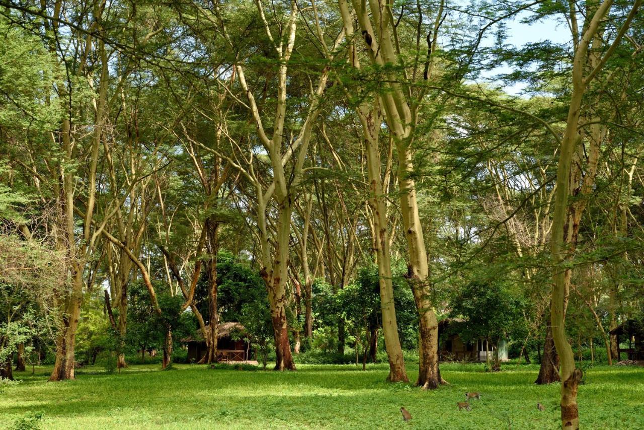 Migunga Tented Camp Mto wa Mbu Exterior foto