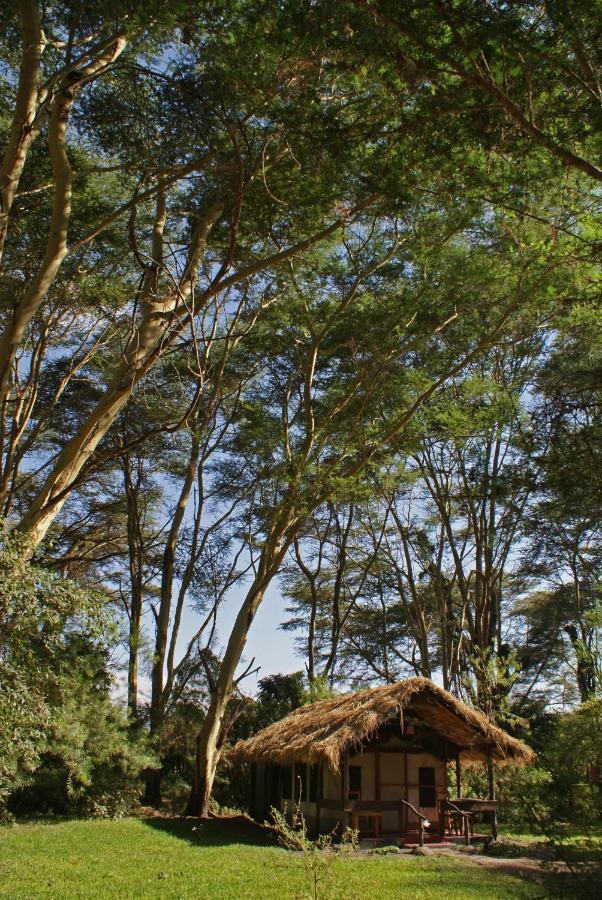 Migunga Tented Camp Mto wa Mbu Exterior foto