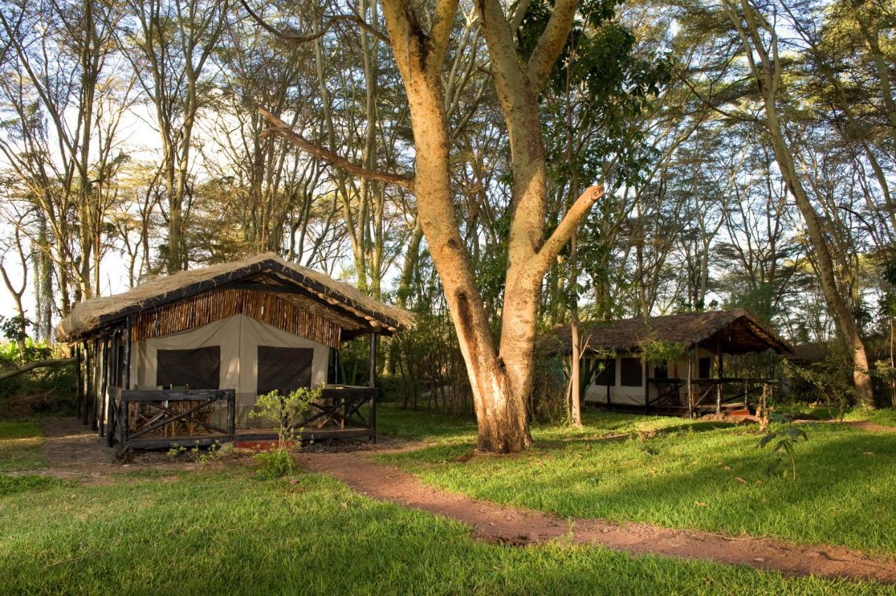Migunga Tented Camp Mto wa Mbu Exterior foto